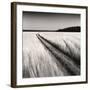 Oceanside Field-Andrew Ren-Framed Art Print