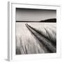 Oceanside Field-Andrew Ren-Framed Art Print