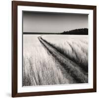 Oceanside Field-Andrew Ren-Framed Art Print