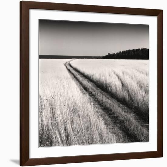 Oceanside Field-Andrew Ren-Framed Art Print