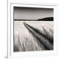 Oceanside Field-Andrew Ren-Framed Art Print