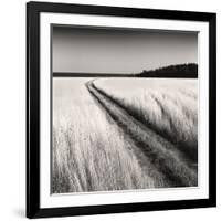 Oceanside Field-Andrew Ren-Framed Art Print