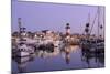 Oceanside Harbor Village Lighthouse-Richard Cummins-Mounted Photographic Print