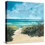 Oceanside I-Jane Slivka-Stretched Canvas