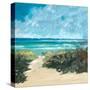 Oceanside I-Jane Slivka-Stretched Canvas