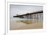 Oceanside Pier-Lee Peterson-Framed Photographic Print