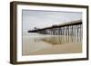 Oceanside Pier-Lee Peterson-Framed Photo