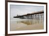 Oceanside Pier-Lee Peterson-Framed Photo