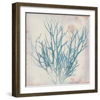 Oceanus Botanica-Ken Hurd-Framed Giclee Print