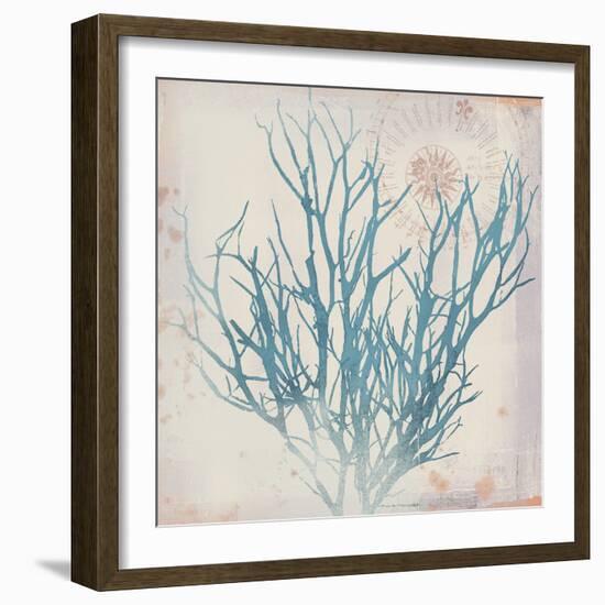 Oceanus Botanica-Ken Hurd-Framed Giclee Print