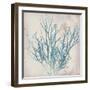 Oceanus Botanica-Ken Hurd-Framed Giclee Print