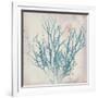 Oceanus Botanica-Ken Hurd-Framed Giclee Print