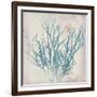 Oceanus Botanica-Ken Hurd-Framed Giclee Print