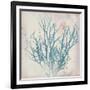 Oceanus Botanica-Ken Hurd-Framed Giclee Print