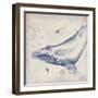 Oceanus Cetacea-Ken Hurd-Framed Giclee Print