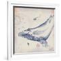 Oceanus Cetacea-Ken Hurd-Framed Giclee Print