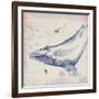 Oceanus Cetacea-Ken Hurd-Framed Giclee Print