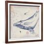 Oceanus Cetacea-Ken Hurd-Framed Giclee Print