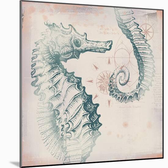 Oceanus Equo-Ken Hurd-Mounted Giclee Print