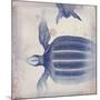 Oceanus Turturem-Ken Hurd-Mounted Giclee Print
