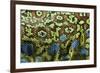 Ocellated Lizard (Timon lepidus) adult, close-up of skin texture, Italy, june-Fabio Pupin-Framed Photographic Print