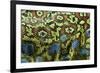 Ocellated Lizard (Timon lepidus) adult, close-up of skin texture, Italy, june-Fabio Pupin-Framed Photographic Print