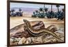 Ocellated Skink (Chalcides Ocellatus), Scincidae-null-Framed Giclee Print