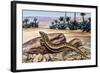 Ocellated Skink (Chalcides Ocellatus), Scincidae-null-Framed Giclee Print