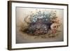 Ocelot, 1851-52-Joseph Wolf-Framed Giclee Print