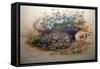 Ocelot, 1851-52-Joseph Wolf-Framed Stretched Canvas