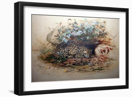 Ocelot, 1851-52-Joseph Wolf-Framed Giclee Print