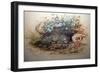Ocelot, 1851-52-Joseph Wolf-Framed Giclee Print
