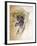 Ocelot, 1851-52-Joseph Wolf-Framed Giclee Print