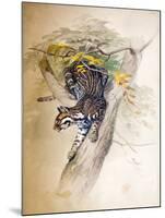 Ocelot, 1851-52-Joseph Wolf-Mounted Giclee Print