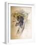 Ocelot, 1851-52-Joseph Wolf-Framed Giclee Print