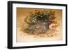 Ocelot, 1851-52-Joseph Wolf-Framed Giclee Print