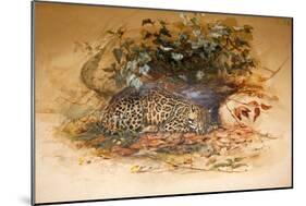 Ocelot, 1851-52-Joseph Wolf-Mounted Giclee Print