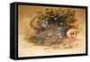 Ocelot, 1851-52-Joseph Wolf-Framed Stretched Canvas