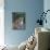 Ocelot (Felis Pardalis)-Lynn M^ Stone-Mounted Premium Photographic Print displayed on a wall