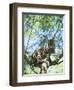 Ocelot in Tree-Pete Oxford-Framed Premium Photographic Print