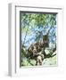 Ocelot in Tree-Pete Oxford-Framed Premium Photographic Print