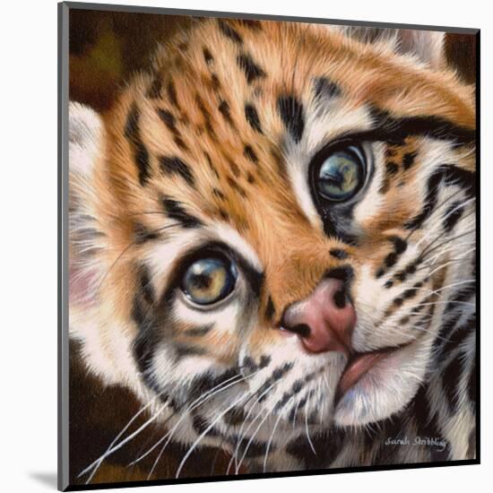 Ocelot Kitten-Sarah Stribbling-Mounted Art Print