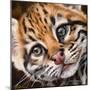 Ocelot Kitten-Sarah Stribbling-Mounted Art Print