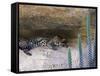 Ocelot Resting in the Shade of a Cave. Arizona, USA-Philippe Clement-Framed Stretched Canvas