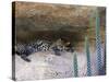 Ocelot Resting in the Shade of a Cave. Arizona, USA-Philippe Clement-Stretched Canvas