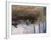 Ocelot Resting in the Shade of a Cave. Arizona, USA-Philippe Clement-Framed Photographic Print