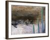 Ocelot Resting in the Shade of a Cave. Arizona, USA-Philippe Clement-Framed Photographic Print