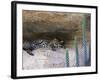 Ocelot Resting in the Shade of a Cave. Arizona, USA-Philippe Clement-Framed Photographic Print