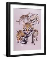 Ocelot-Barbara Keith-Framed Giclee Print