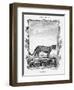 Ocelot-A Bell-Framed Giclee Print